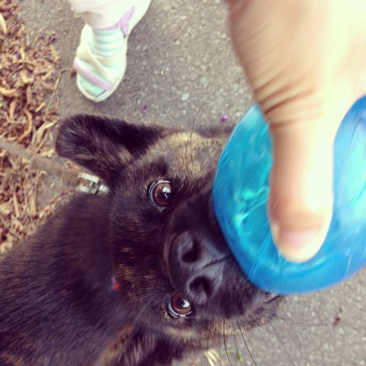 D0432846 495f 4b3a acae a3fd801d8591