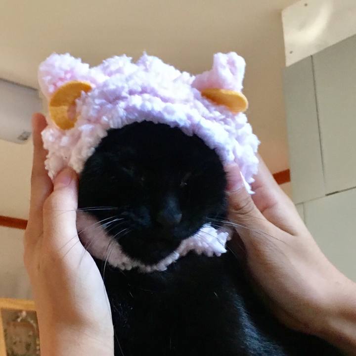 D0437247 35c4 4f11 887c f5395a5148c0