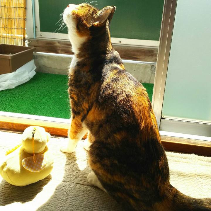 D043d463 86d6 4d95 8401 a1f870efd67e