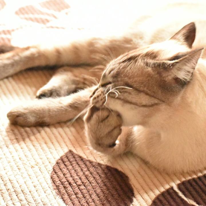 D044045f 92d3 443a 8b54 4831d10cff08