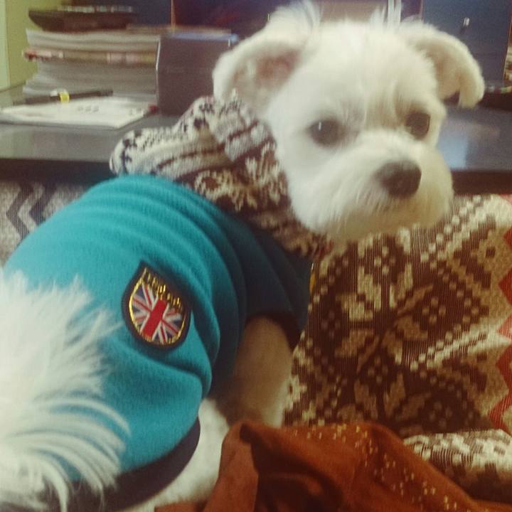 D04413b4 68ba 4879 b652 f8780f3d2ff4