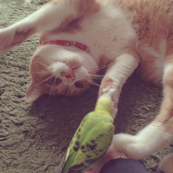 D04448dd aab2 44ae a5ec 19e099d8aa0c