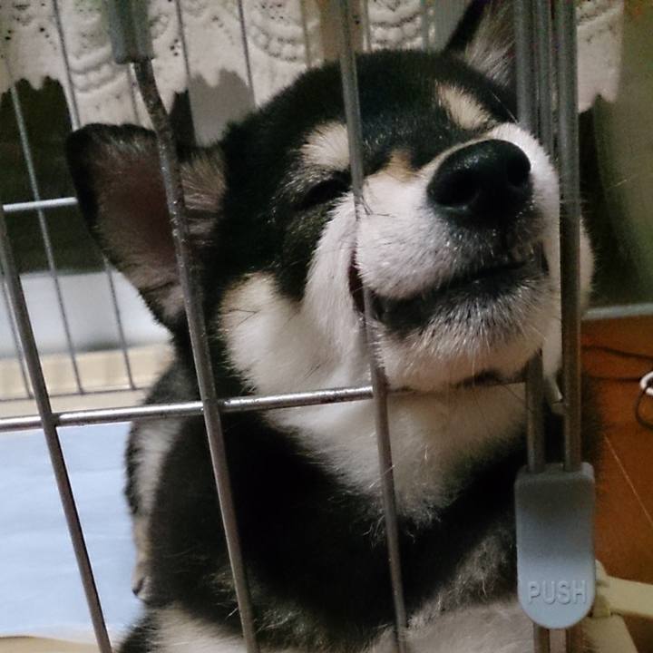 D0452524 e1b7 49d6 8215 619adbe512ce