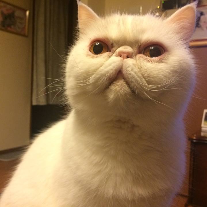 D045a43d 5737 4748 af81 144a4c5f64bd