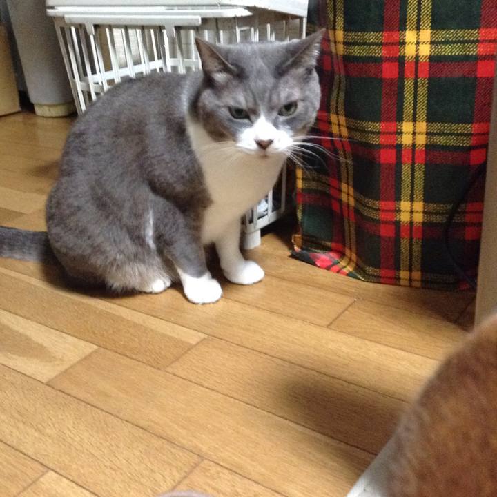 D045d2df 02d8 4fb5 b7ce b3fed42728c2