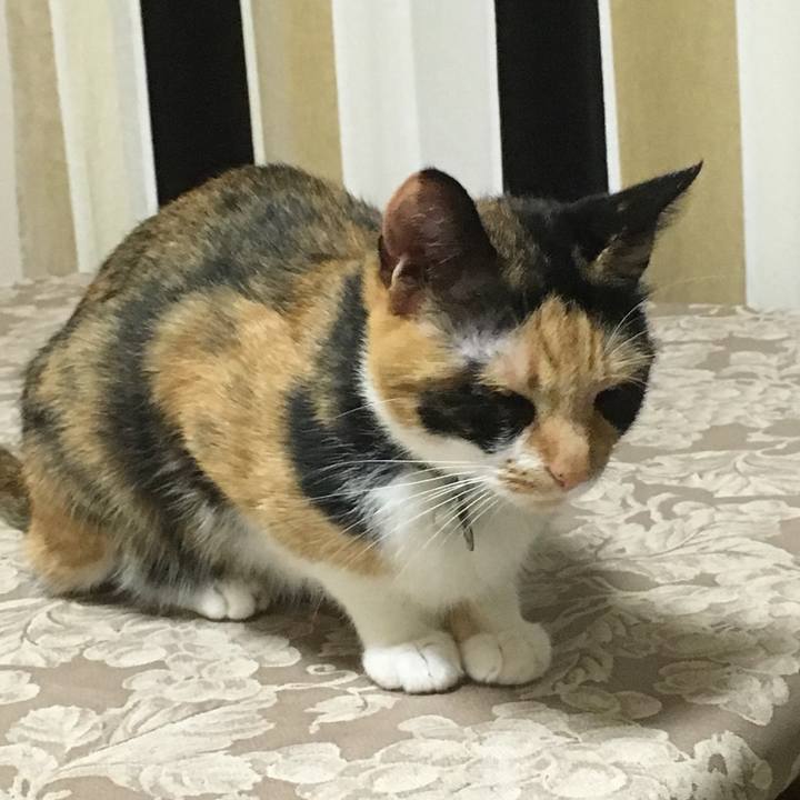 D045d56f a54d 4fb1 8d2f 8b3032f8dcaf