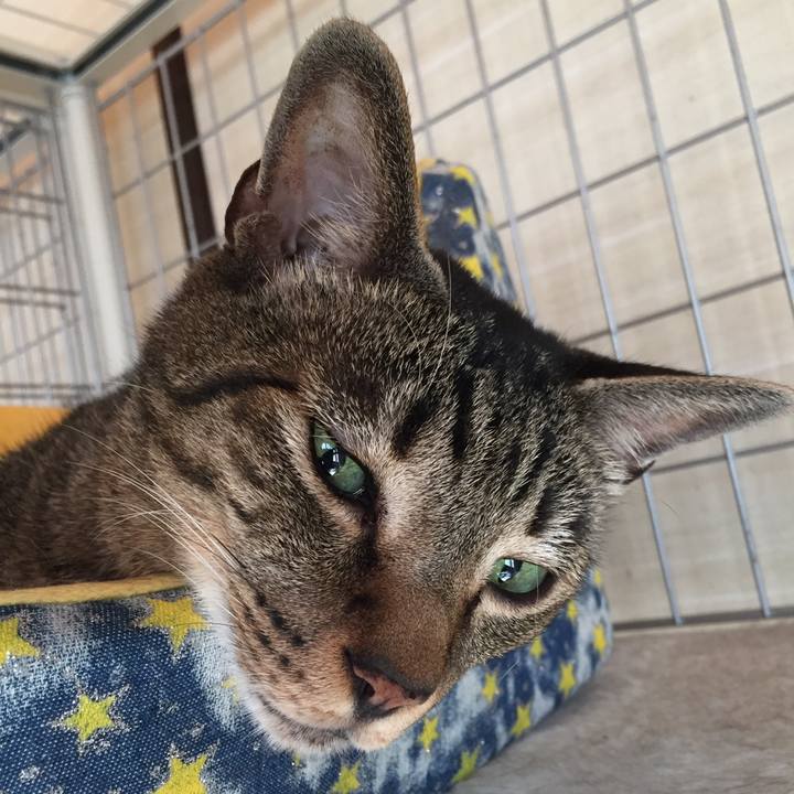 D0461b01 2184 441f bb69 49378a20eca6