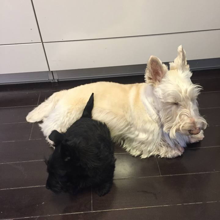 D04691e2 f435 427b 95a9 35d4db398735