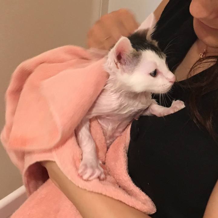 D0472093 e27c 48b3 ba0d 979518615855