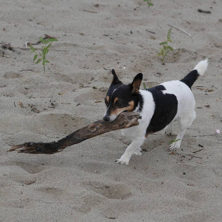 D0475870 9333 48d4 9b8c f743a848de49