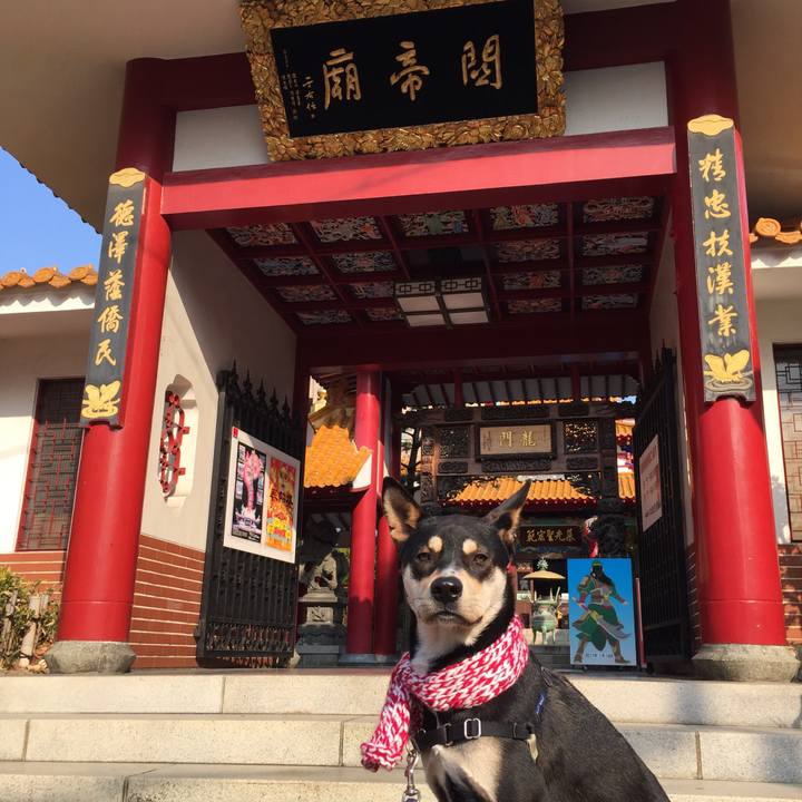 D0477d82 b6c8 47e6 8fcd 86c3736139ab