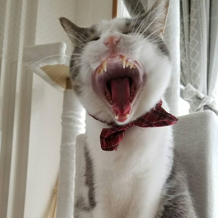 D048283d 758e 4193 b5a0 105d36eb15a6