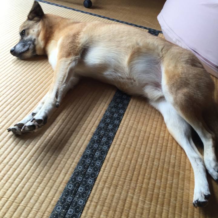 D0486975 6978 4627 a095 9768d20b382a