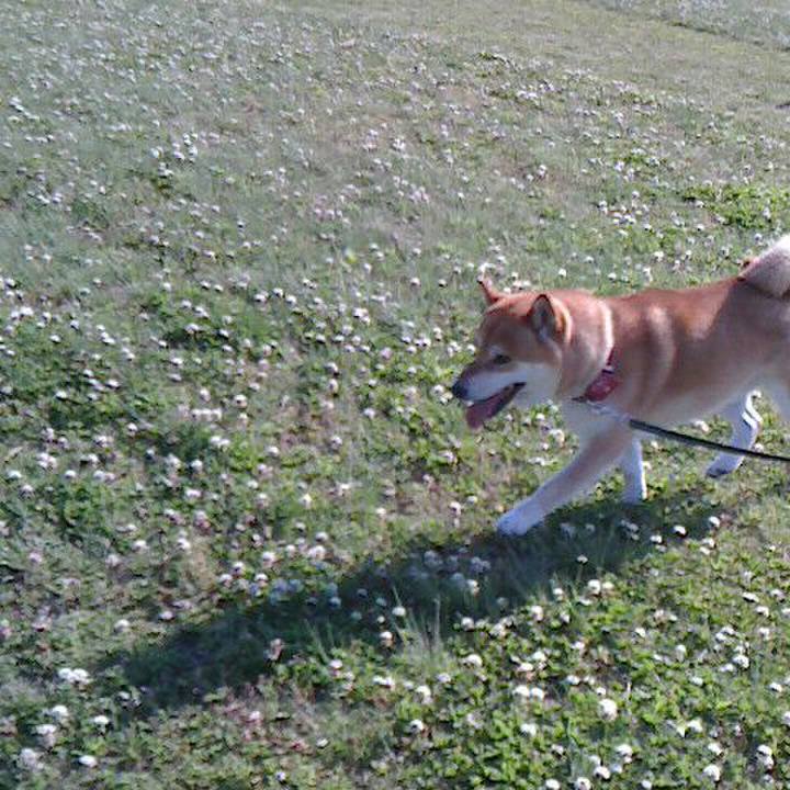 D048f6f4 2131 4c33 bbdb ee8ccf781b2e