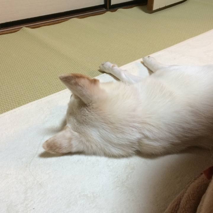 D048f981 9f64 4f8d af21 908b4915d2f3