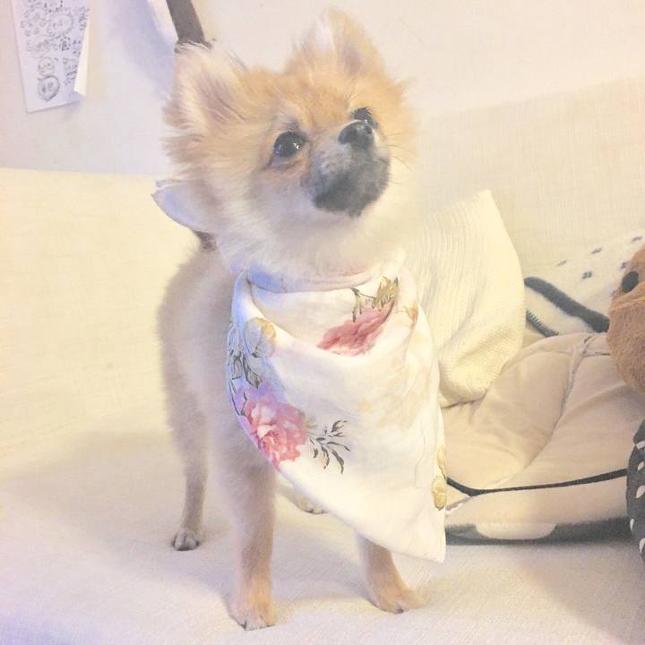 D0493993 58ea 43ec 8fca 1c7edc4ff89b