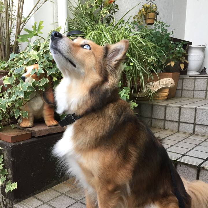 D04a0771 da59 4191 b17d 1334fb628f15