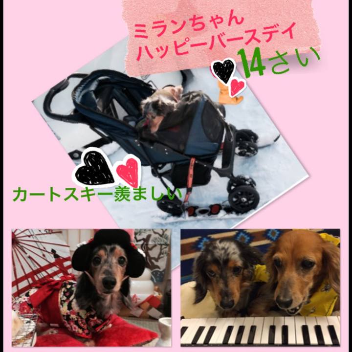 D04a62cf d134 44e5 aee0 acfd9f7eb781