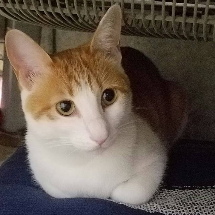 D04a72be ca3f 45b2 98ea 332a7752ba92