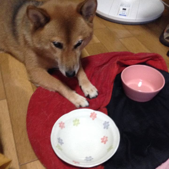 D04a7d95 43fb 4f3f 91a5 2e428c2355c7