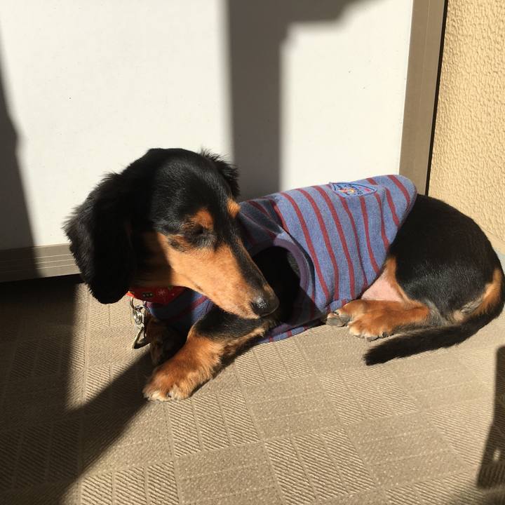 D04bba91 e5d5 4b59 b07c b5834e2d039d