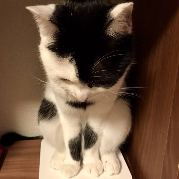 D04c374a e9c6 48cc a962 f441a7c68b18