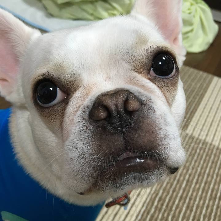 D04d79a3 d80a 47a9 8383 5d0581033db0