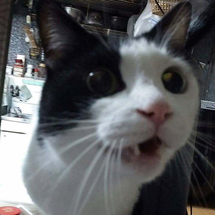 D04d8602 688d 428d b230 355795e3cd84