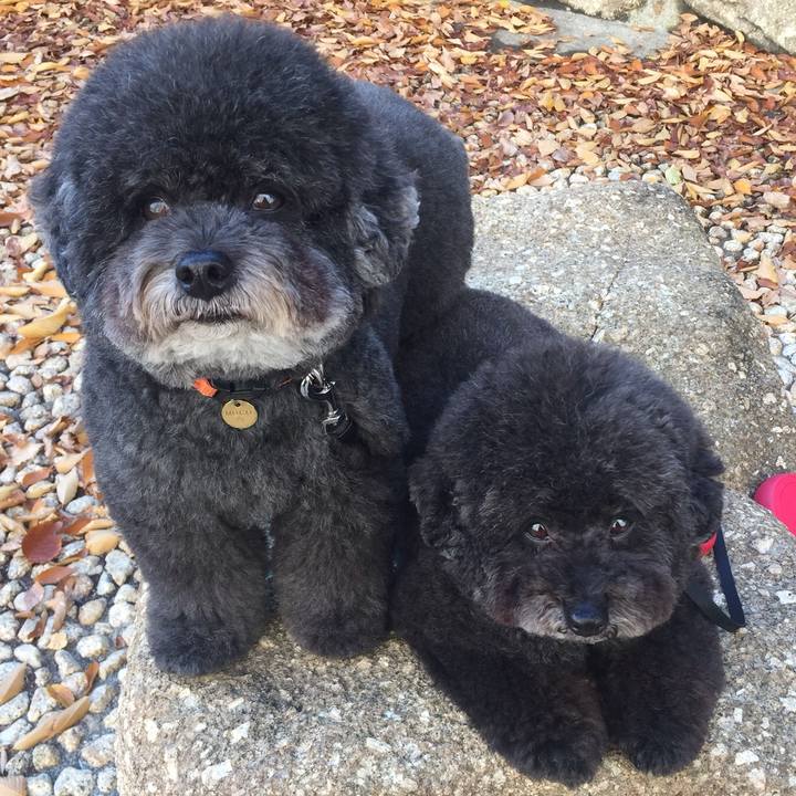 D04e346a da5f 468a ace0 4ba7d316311e