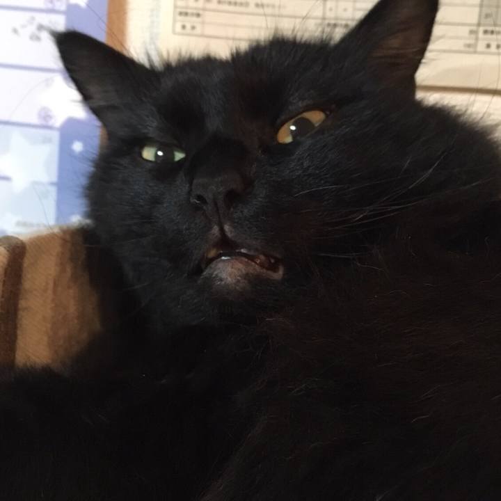 D04e37e0 4441 412f a6bc 888b3e3379f3