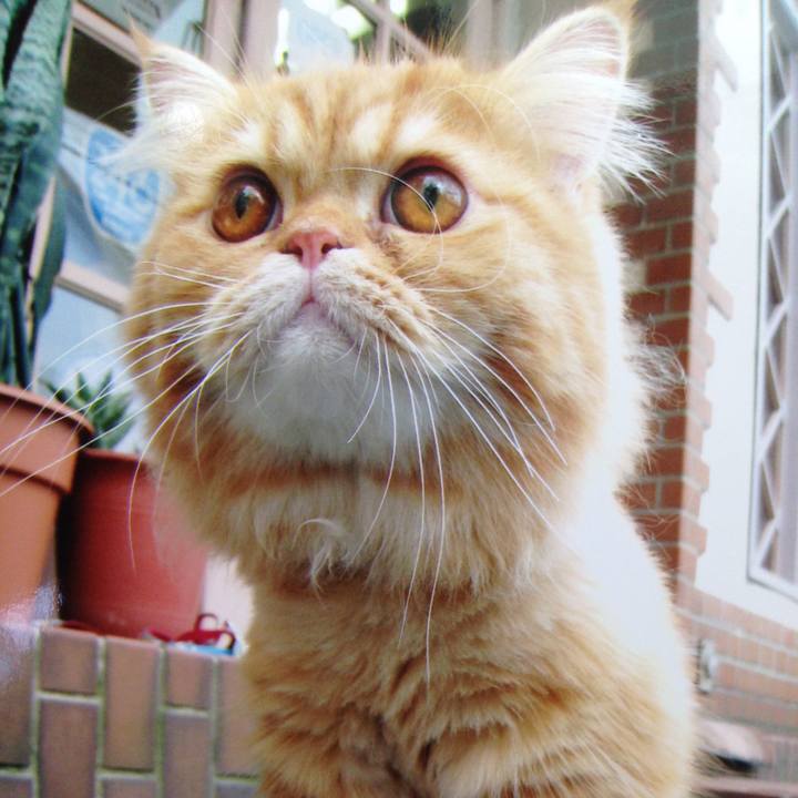 D04ea342 5447 434e aac8 61d6a817e115