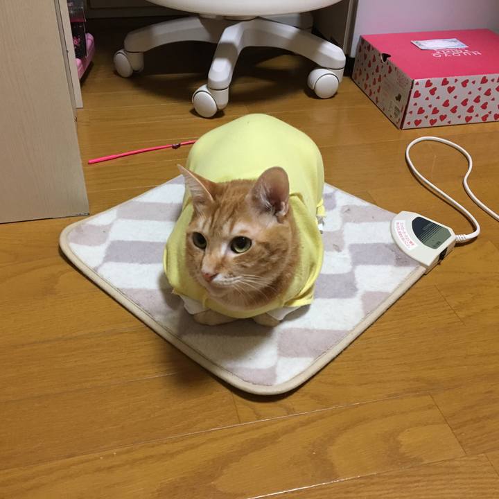 D04ef13c e5d3 459f 8676 ef577fedfa02