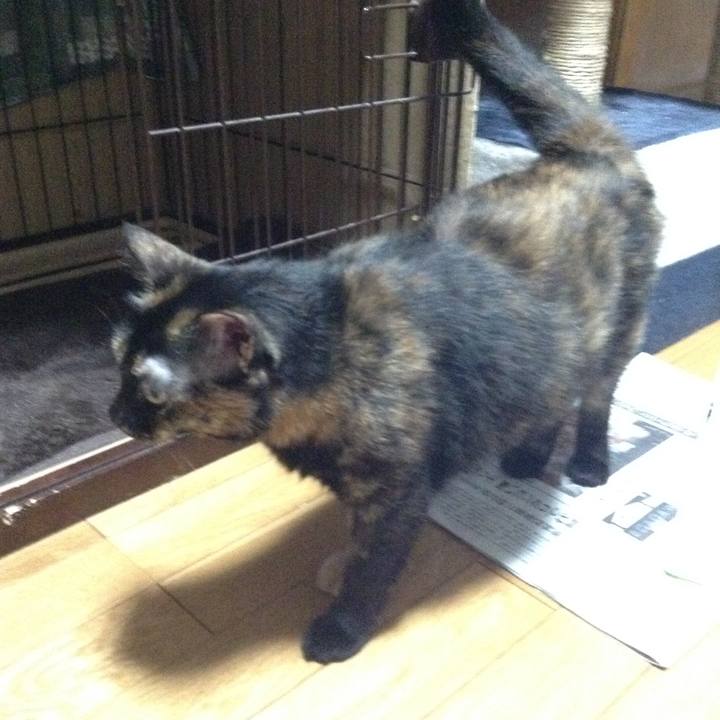 D04f285c 9f54 4d60 b529 a515a5ad5edc