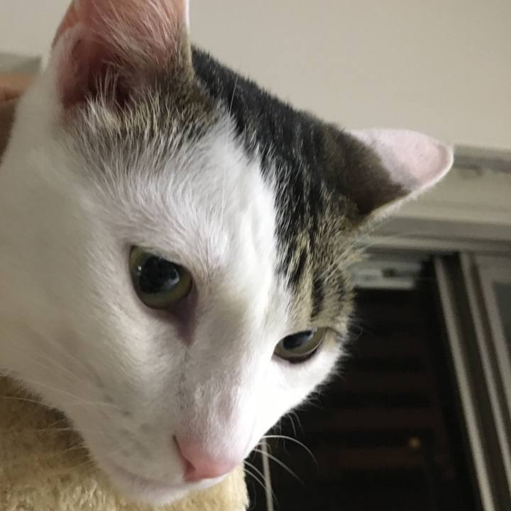 D04f6c43 4c7d 4754 b4ee f0580ab6adef