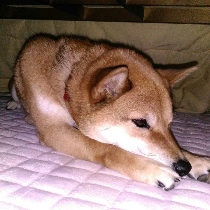 D04f8d24 df26 4208 af44 84239d40258a