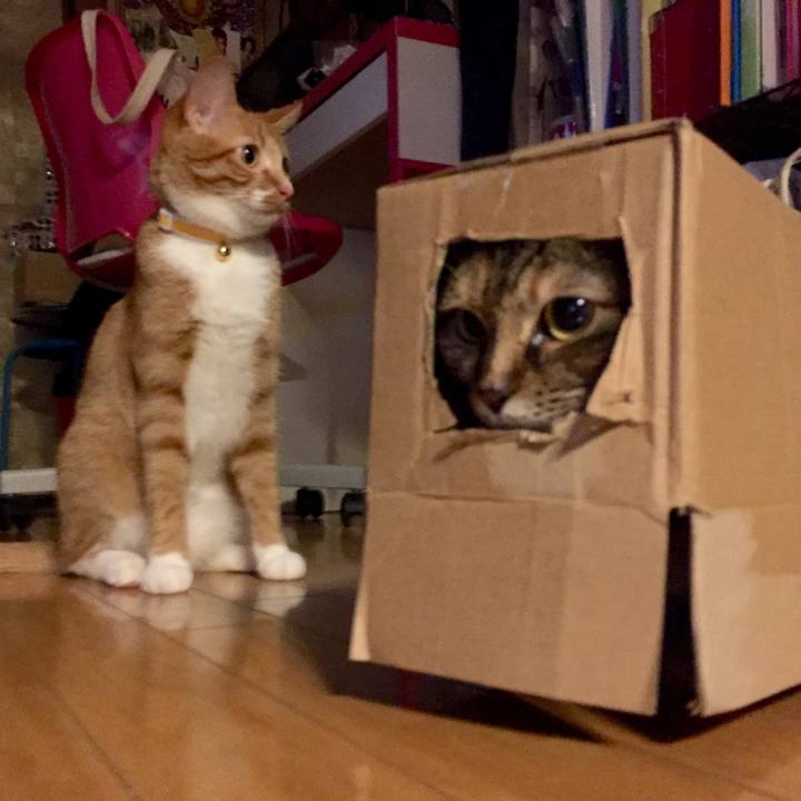 D04f92e7 1fb1 47d7 840e 739c82e11ba3