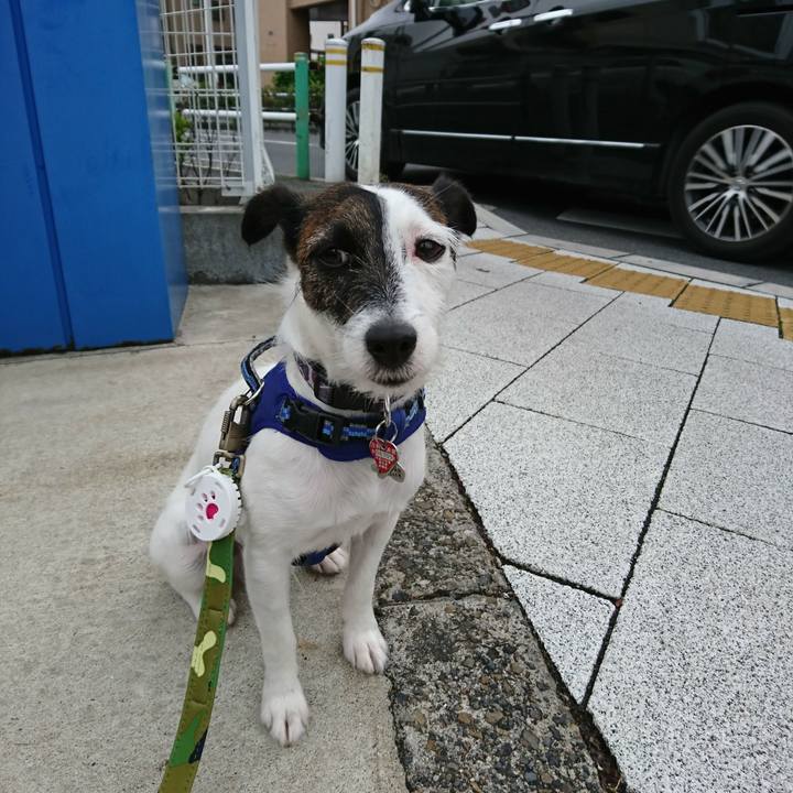 D04fc4c1 fe32 4086 9812 d4aa99d2e881