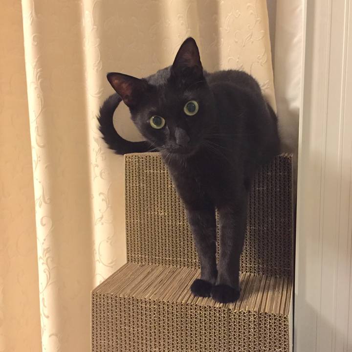 D05056de 8f7d 47c8 8fa4 348b7ec7b226