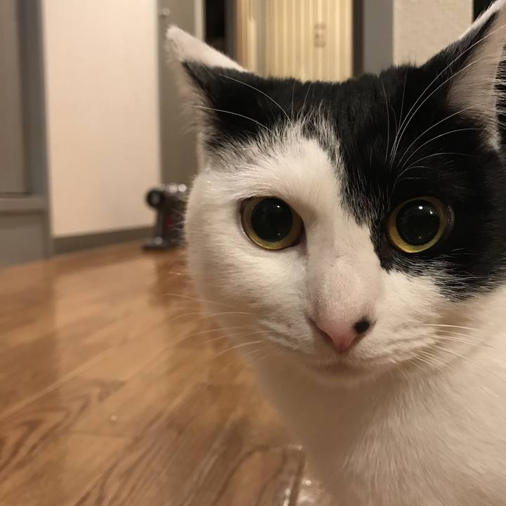 D050a68b 838b 4104 82c0 d4a8562c2a46