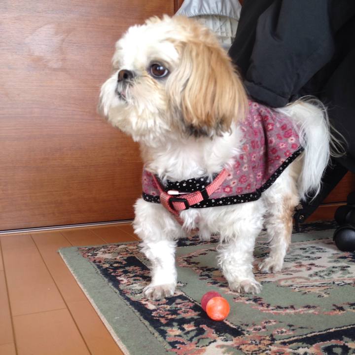 D050d053 03a1 4b3b aecb f390df246044