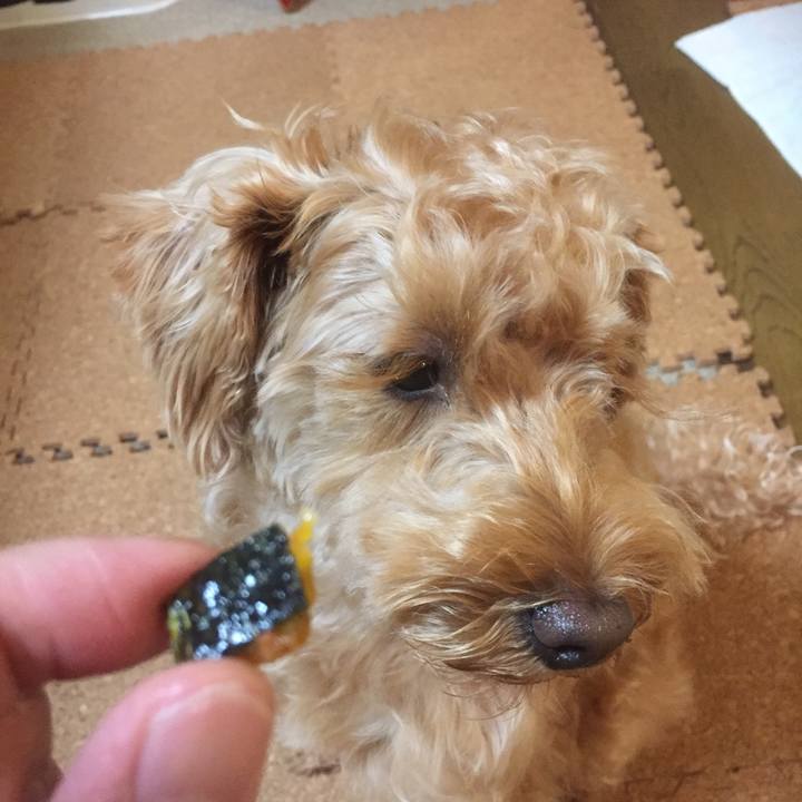 D052d465 9c83 4c07 9512 93498759a067