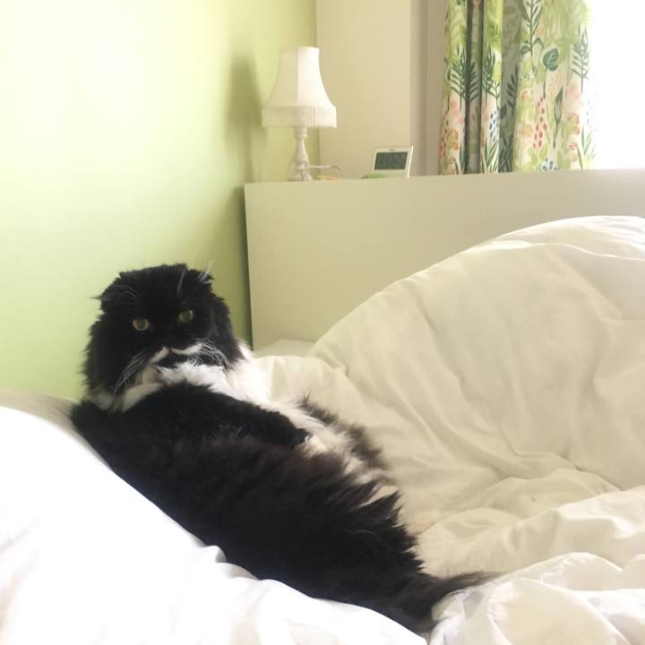 D052f178 083c 4b18 8e83 4424f86cbd76