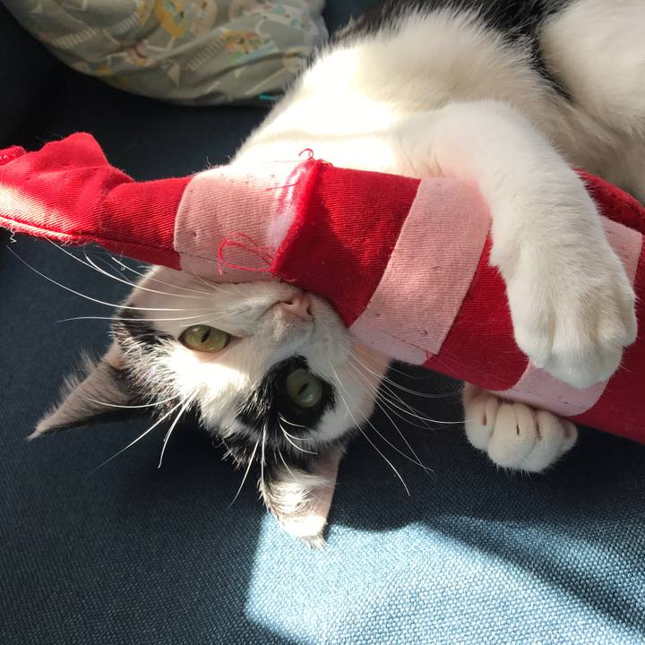 D052fef4 9095 43eb a095 e48b60c5e7ca