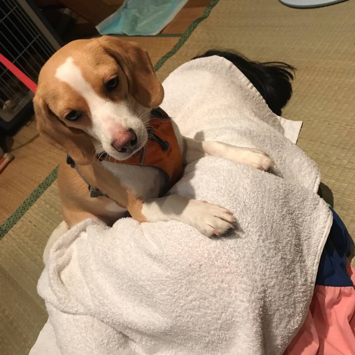 D05390ff f2fc 4d8a b1f0 eda39b7ac099