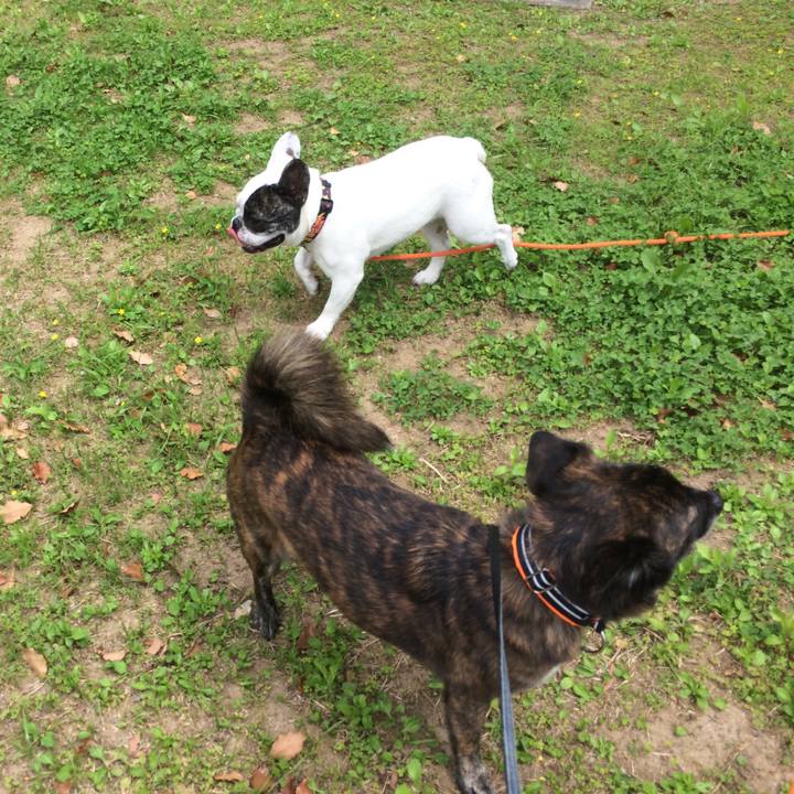 D053ad1f 9c13 4371 8387 297d300e7b21