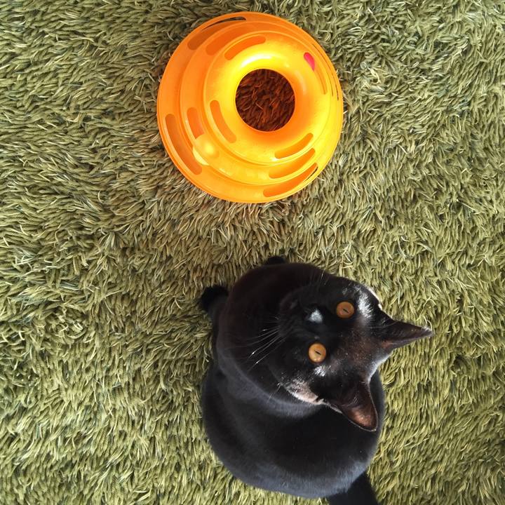 D054117e 8f3f 4c5e a4f9 4881812d74fc