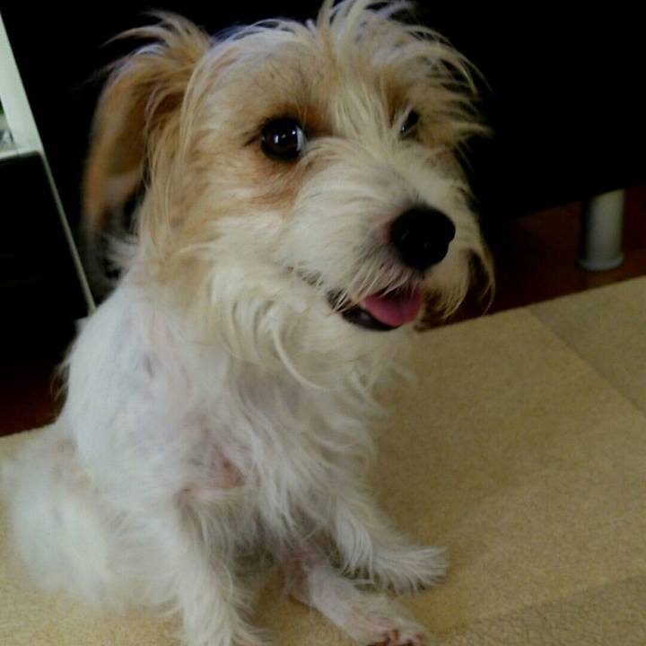 D054f581 cfd9 44d4 aeb5 38c5440b3b32