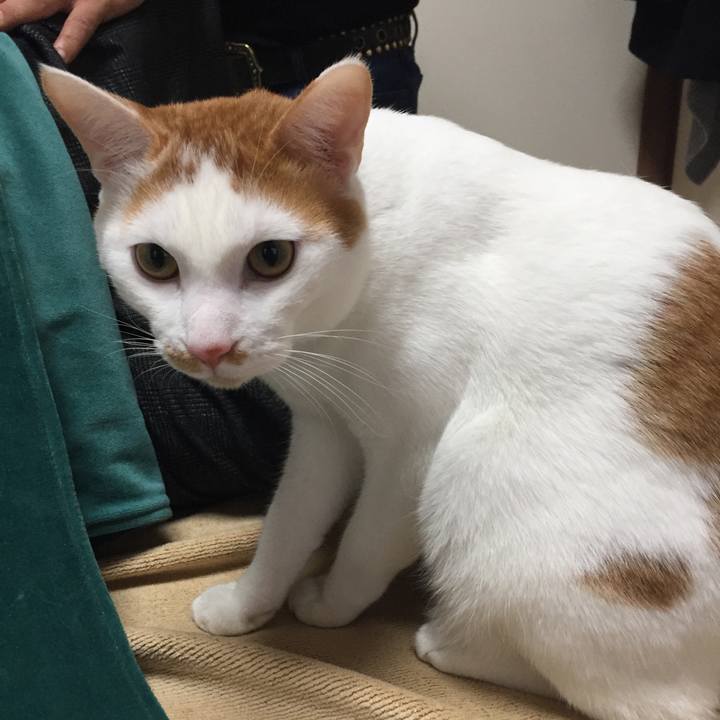 D055107d bd82 4dc6 aaf7 cedb52cf86e0