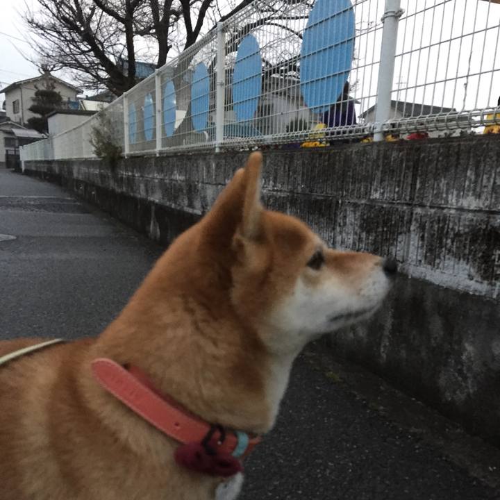 D0552820 5158 464f b27a 39ad7c086198