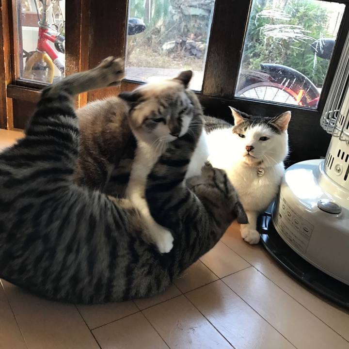 D0555706 c882 4c33 870c 27acc463e390